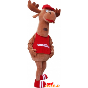 Momentum mascotte, bruin kariboe. Reindeer Mascot - MASFR032745 - Forest Animals