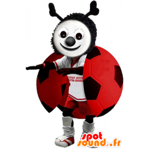Mascot rood lieveheersbeestje, zwart en wit - MASFR032802 - mascottes Insect