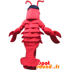 Rød kjempe hummer maskot med store klør - MASFR032833 - Maskoter Lobster