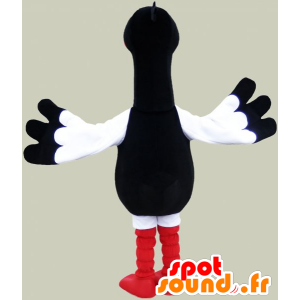 Mascote gaivota branca, preta e vermelha. Costume pássaro - MASFR032835 - Mascotes do oceano