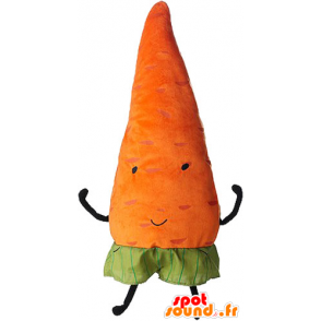 Orange carrot mascot, giant. vegetable mascot - MASFR032856 - Mascot of vegetables