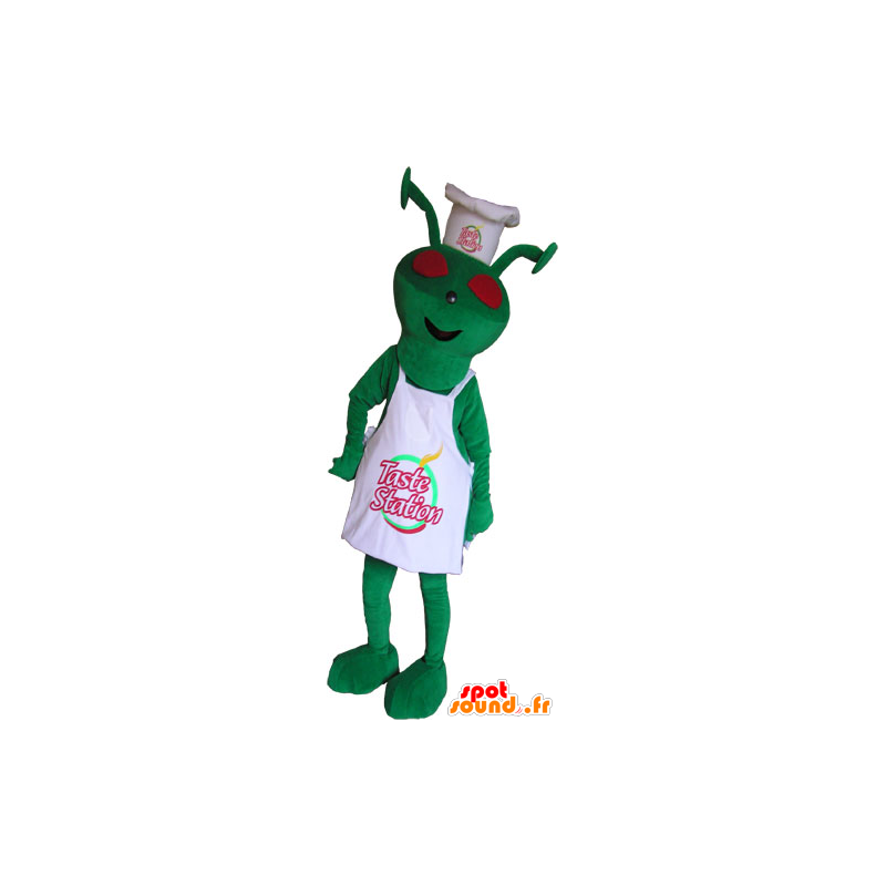 Mascotte d'extra-terrestre habillé en tenue de chef - MASFR032861 - Mascottes animaux disparus