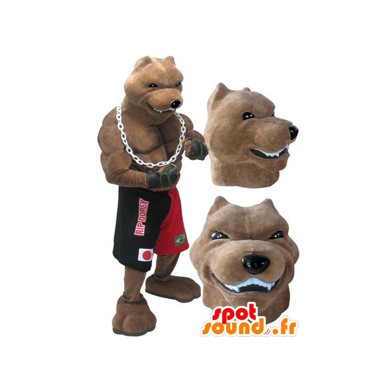 Cane mascotte gigante e muscoloso razza boxer tenuto - MASFR032986 - Mascotte cane