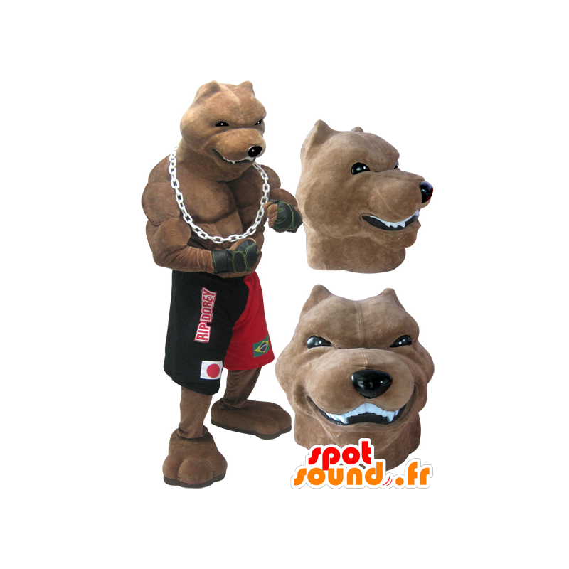 Dog Mascot jättiläinen ja lihaksikas rotu nyrkkeilijä hallussa - MASFR032986 - koira Maskotteja