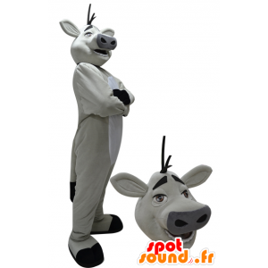 Hvit og svart giganten ku maskot - MASFR033073 - Cow Maskoter