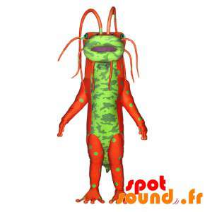Monster maskot, grön och orange insekt med antenner - Spotsound