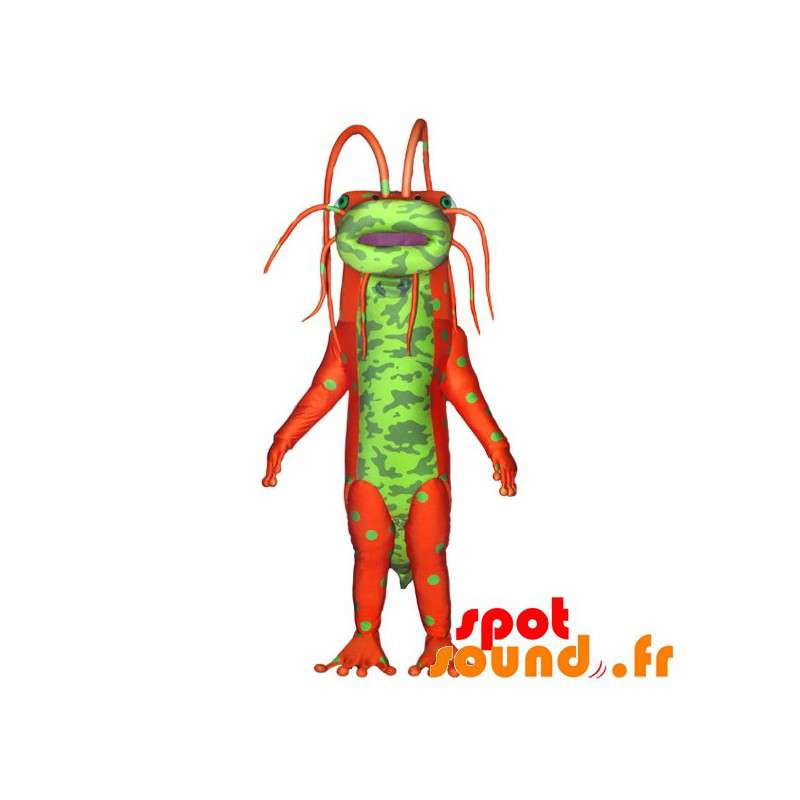 Monster maskot, grønt og orange insekt med antenner - Spotsound
