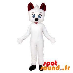 Hvid kat maskot med blå øjne. Hvid hundemaskot - Spotsound