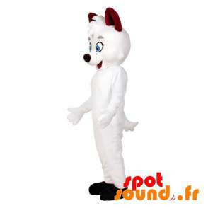 Vit kattmaskot med blå ögon. Vit hundmaskot - Spotsound maskot