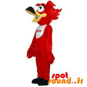 Mascot pájaro rojo y...