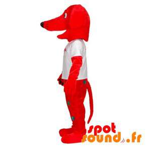 Rød hundemaskot med farverige prikker - Spotsound maskot