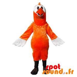 Oranje en witte vogel mascotte