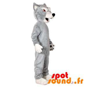 Grå och vit vargmaskot. Wolf dog maskot - Spotsound maskot