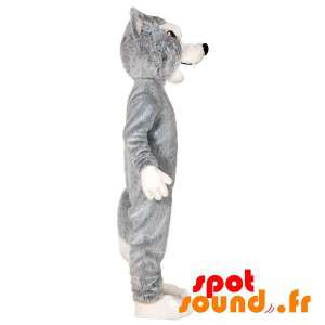 Grå og hvid ulvemaskot. Ulvhund maskot - Spotsound maskot