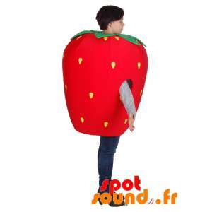 Jätte jordgubbar maskot. Röd fruktmaskot - Spotsound maskot