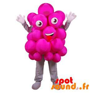 Pink Grape Cluster Mascot....