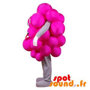 Maskottgrupp med rosa druvor. Festlig rosa maskot - Spotsound