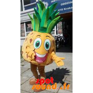 Kæmpe gul og grøn ananas maskot. Ananas kostume - Spotsound