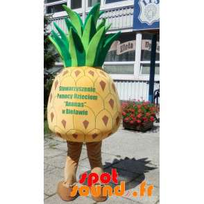 Kæmpe gul og grøn ananas maskot. Ananas kostume - Spotsound