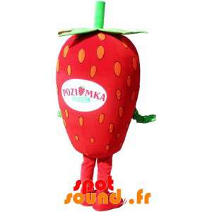 Kæmpe jordbærmaskot. Rød og grøn frugtmaskot - Spotsound maskot