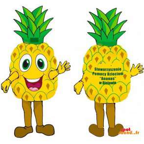 Kæmpe gul og grøn ananas maskot, meget smilende. - Spotsound