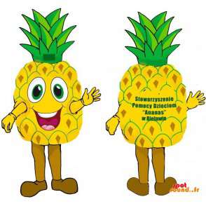 Kæmpe gul og grøn ananas maskot, meget smilende. - Spotsound