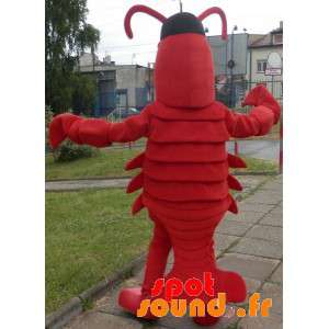 Homard maskota. Obří rak maskota - Humří maskoti - MASFR033388 - SpotSound.fr