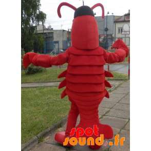 Homard maskota. Obří rak maskota - Humří maskoti - MASFR033388 - SpotSound.fr
