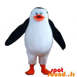 Plump og sød hvid, sort og orange pingvin maskot - Spotsound
