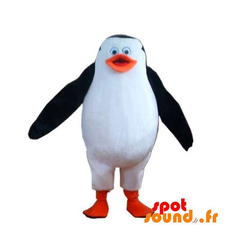 Knubbig och söt vit, svart och orange pingvinmaskot - Spotsound