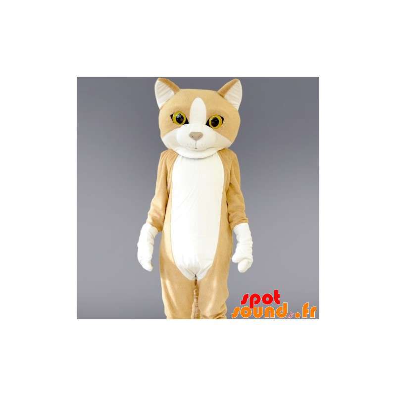 猫マスコット の マスコットのベージュと白猫 巨大な キャットスーツ 色変更 変化なし 切る L 180 190センチ 撮影に最適 番号 服とは 写真にある場合 番号 付属品 番号