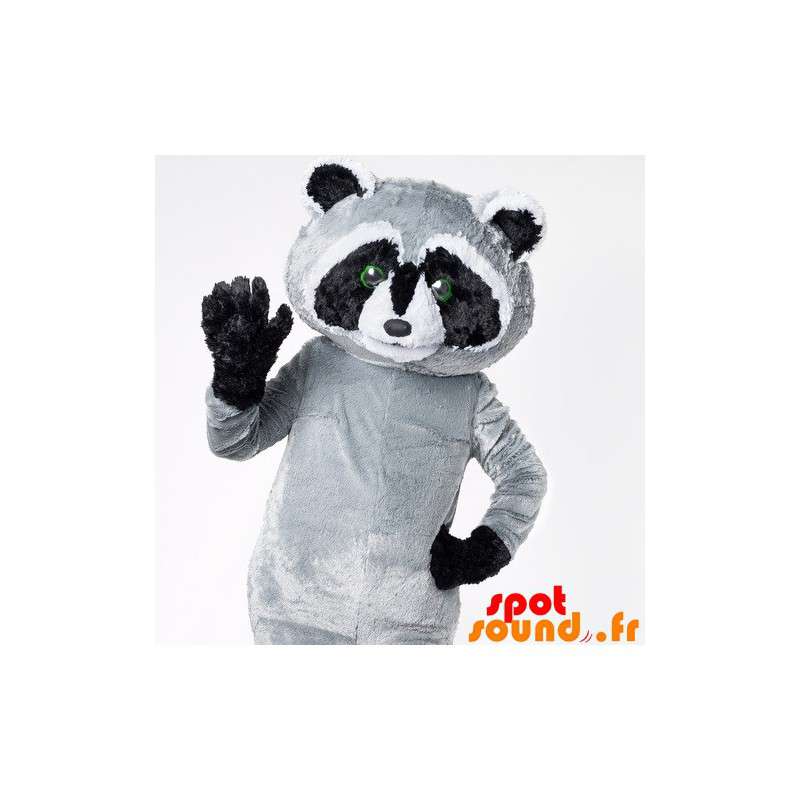 Tvättbjörn maskot svart, grå och vit, jätte - Spotsound maskot