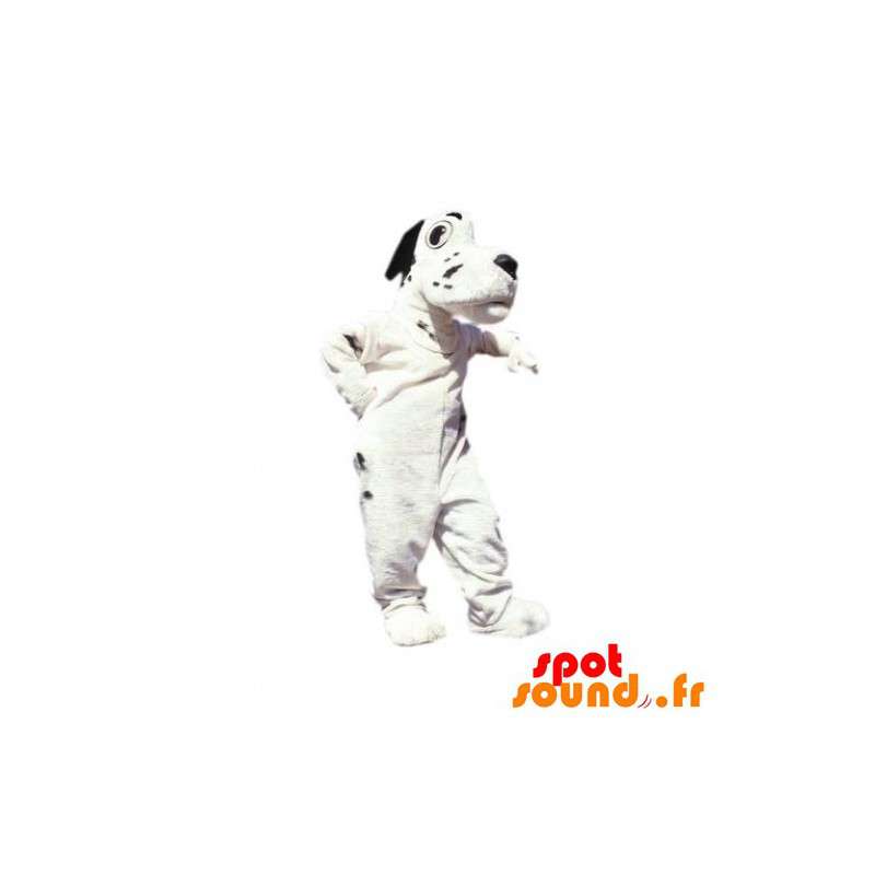 Vit och svart hundmaskot. Dalmatisk maskot - Spotsound maskot