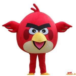 Mascot pássaro vermelho e...