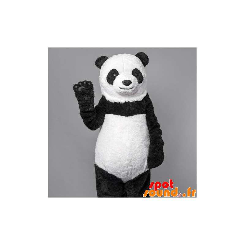 Panda maskot, sort og hvid bjørn. Bear kostume - Spotsound