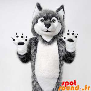 Gray And White Wolf Mascot....