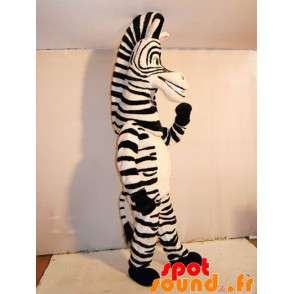 Marty maskot, berømt zebra fra Madagaskar tegneserie -