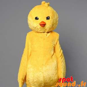 Mascote pintainho amarelo....