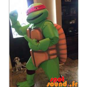 Ninja Turtle Mascot With A...