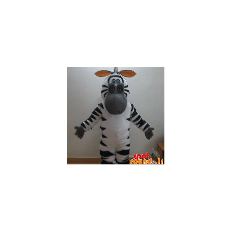 Marty maskot, berömd sebra från Madagaskar tecknad film -