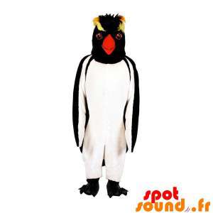 Pinguim mascote pingüim....