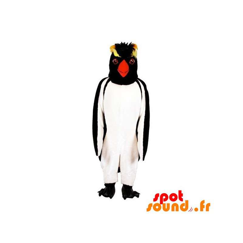 Pingvin maskot, pingvin. Pingvin maskot - Spotsound maskot