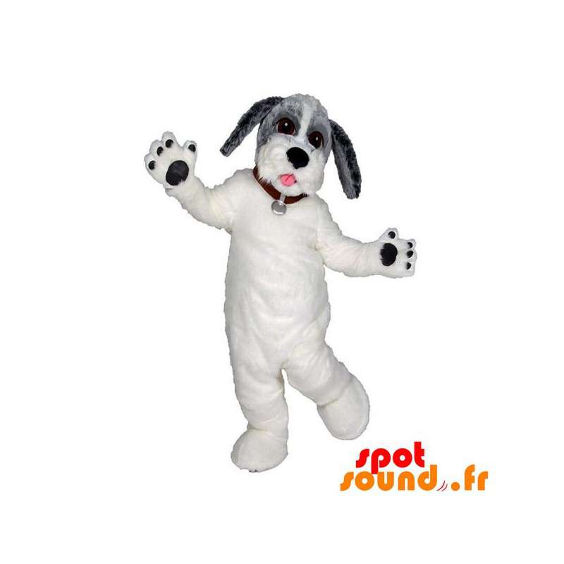 Hvid, grå og sort hundemaskot. Smuk tricolor hund - Spotsound