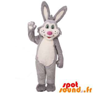 Gray And White Plush Rabbit...