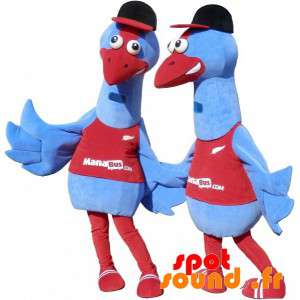 2 Bluebirds Mascots. 2...