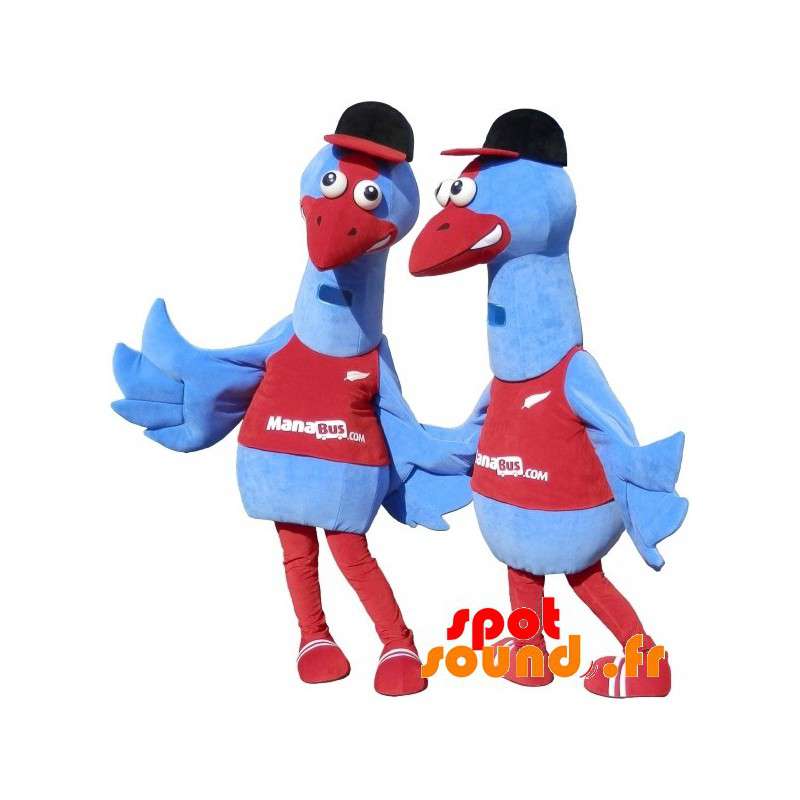 2 maskotter af blå fugle. 2 struds kostumer - Spotsound maskot