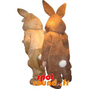 2 mascotes coelhos, castanho e beige - Mascote coelho - MASFR034133 - SpotSound.fr