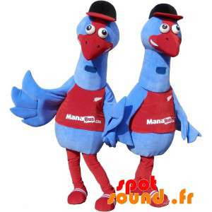 2 bluebirds mascotes. traje...