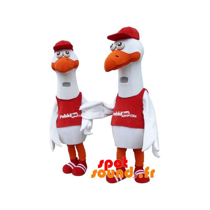 2 maskotter af måger, hvide fugle, kæmper - Spotsound maskot 2 maskotter af måger, hvide fugle, kæmper - Spotsound maskot