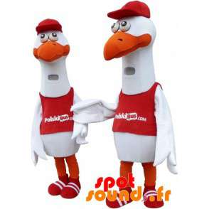 2 maskotter af måger, hvide fugle, kæmper - Spotsound maskot